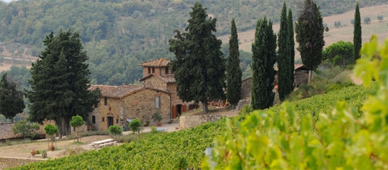 POGGIO AL SOLE